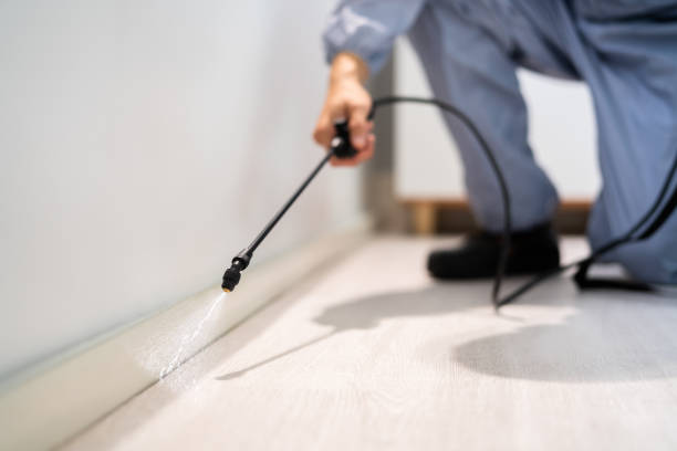 Licensed Pest Control service in Vandercook Lake, MI - Nex Pest Control
