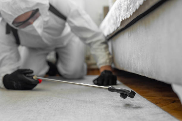 Professional Pest Control technician working in Vandercook Lake, MI