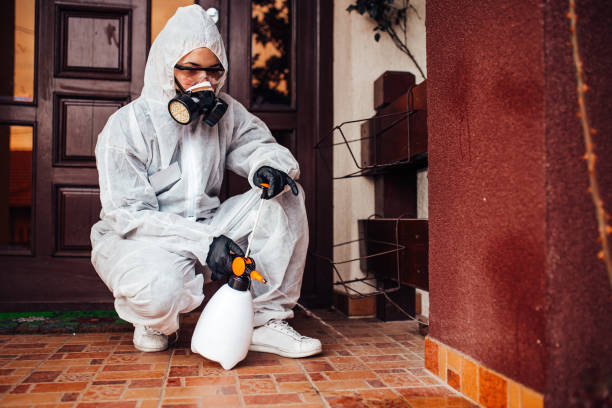 Reliable Bed Bug Control contractor in Vandercook Lake, MI by Nex Pest Control