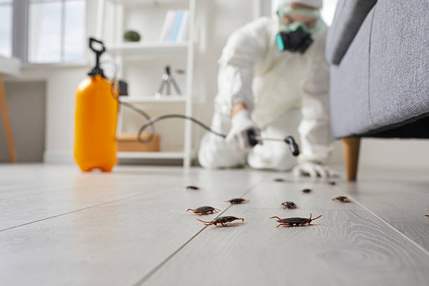 Trusted Fumigation Services service in Vandercook Lake, MI - Nex Pest Control