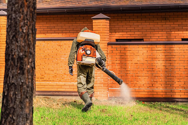 Trusted Mosquito Control service in Vandercook Lake, MI - Nex Pest Control